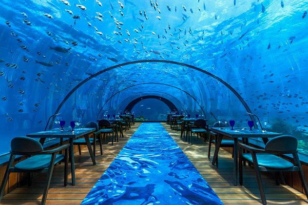 Interior of 5.8 Undersea Restaurant