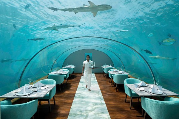 Interior of 5.8 Undersea Restaurant